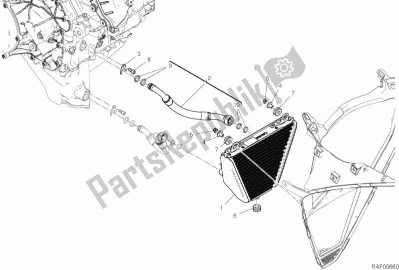 All parts for the Oil Cooler of the Ducati Superbike Panigale V4 S Brasil 1100 2019